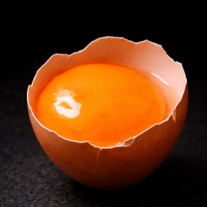 동충하초 유정란 10구