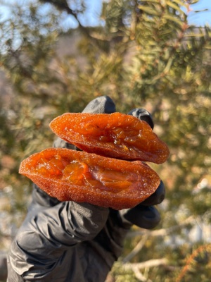 영동 흑곶감 SET