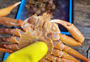 국내산 박달홍게 2kg