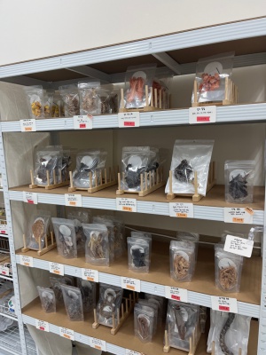 강아지 수제 간식