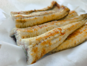 국산 민물장어 1kg