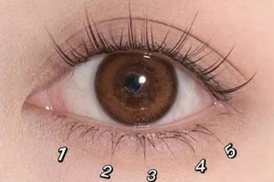 노글루 언더 속눈썹