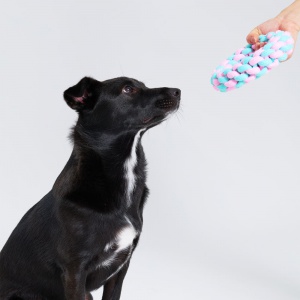 반려동물 터그놀이 장난감