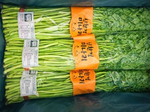 무농약 미나리 1kg