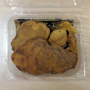 상황버섯 100g
