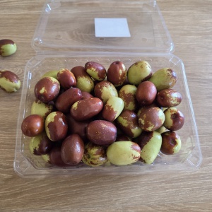 햇 생대추 500g