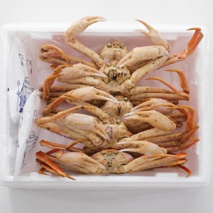 박달 대게