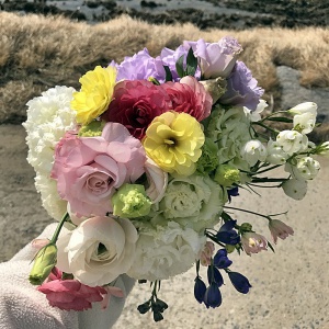 라넌큘러스 생화