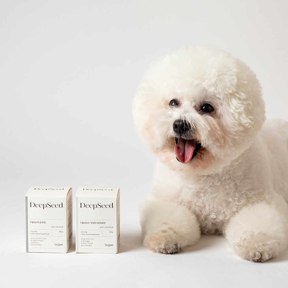 강아지 비건 관절영양제 1BOX