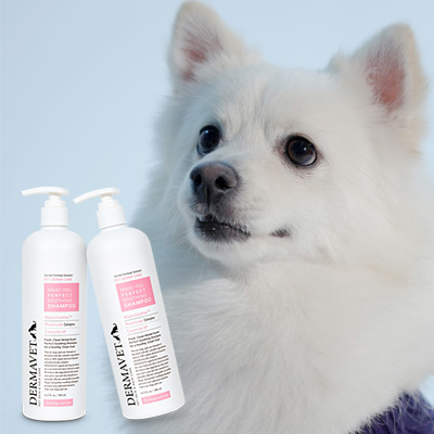 저자극 올인원 펫샴푸 300ml