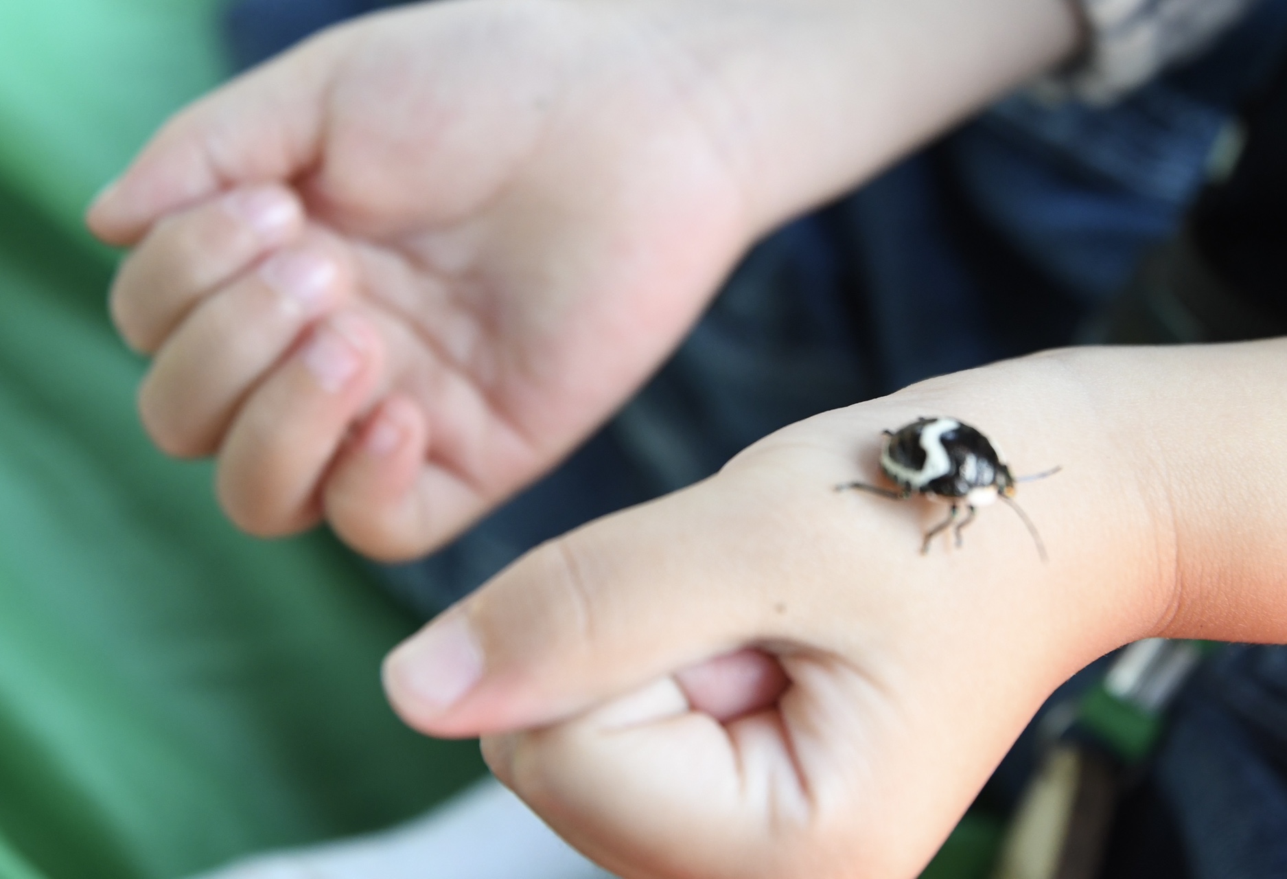 [유아] [서울 전체] 어린이 힐링 숲체험