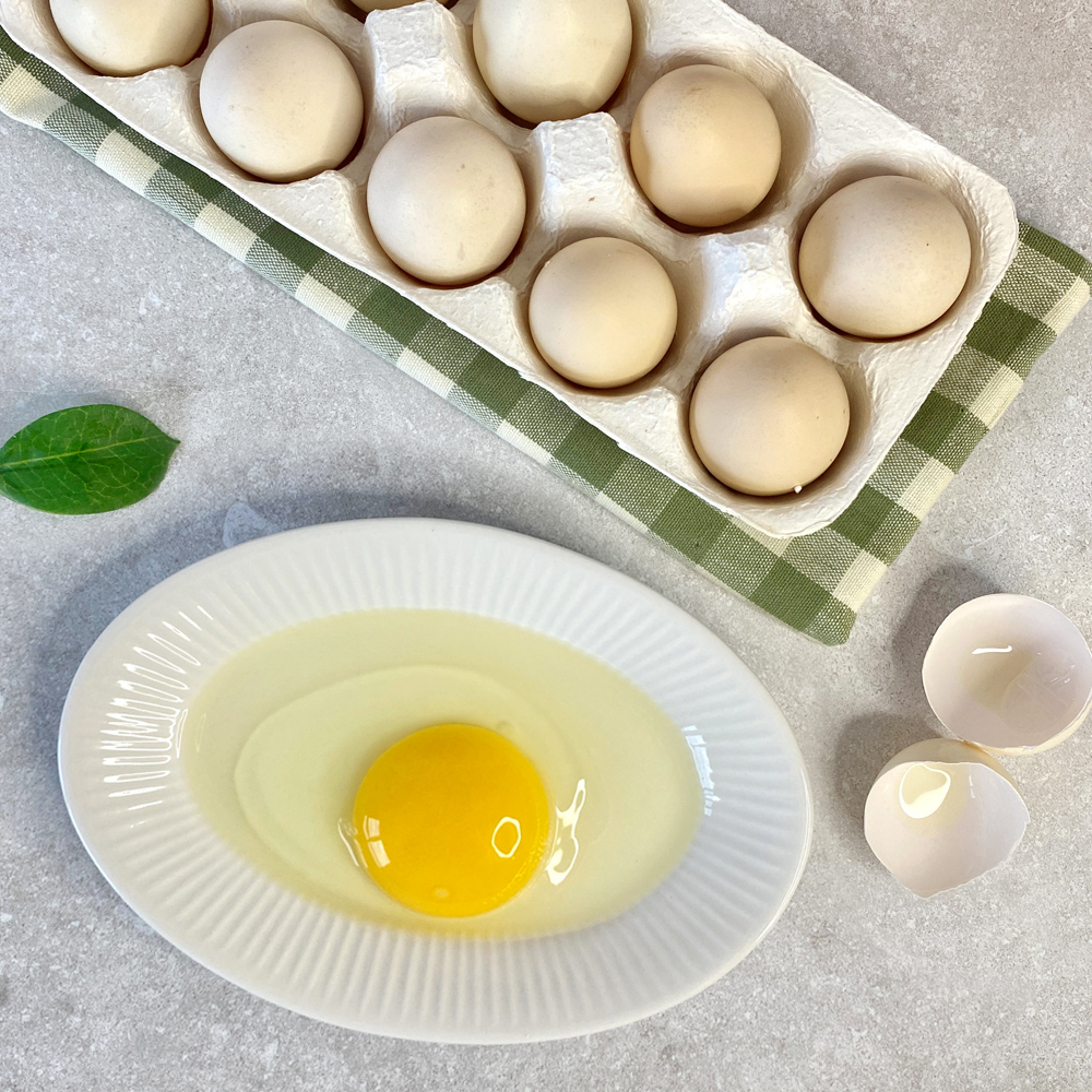 동물복지 고려닭 재래란 1SET