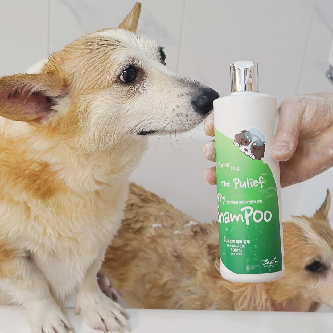 저자극 강아지샴푸 500ml