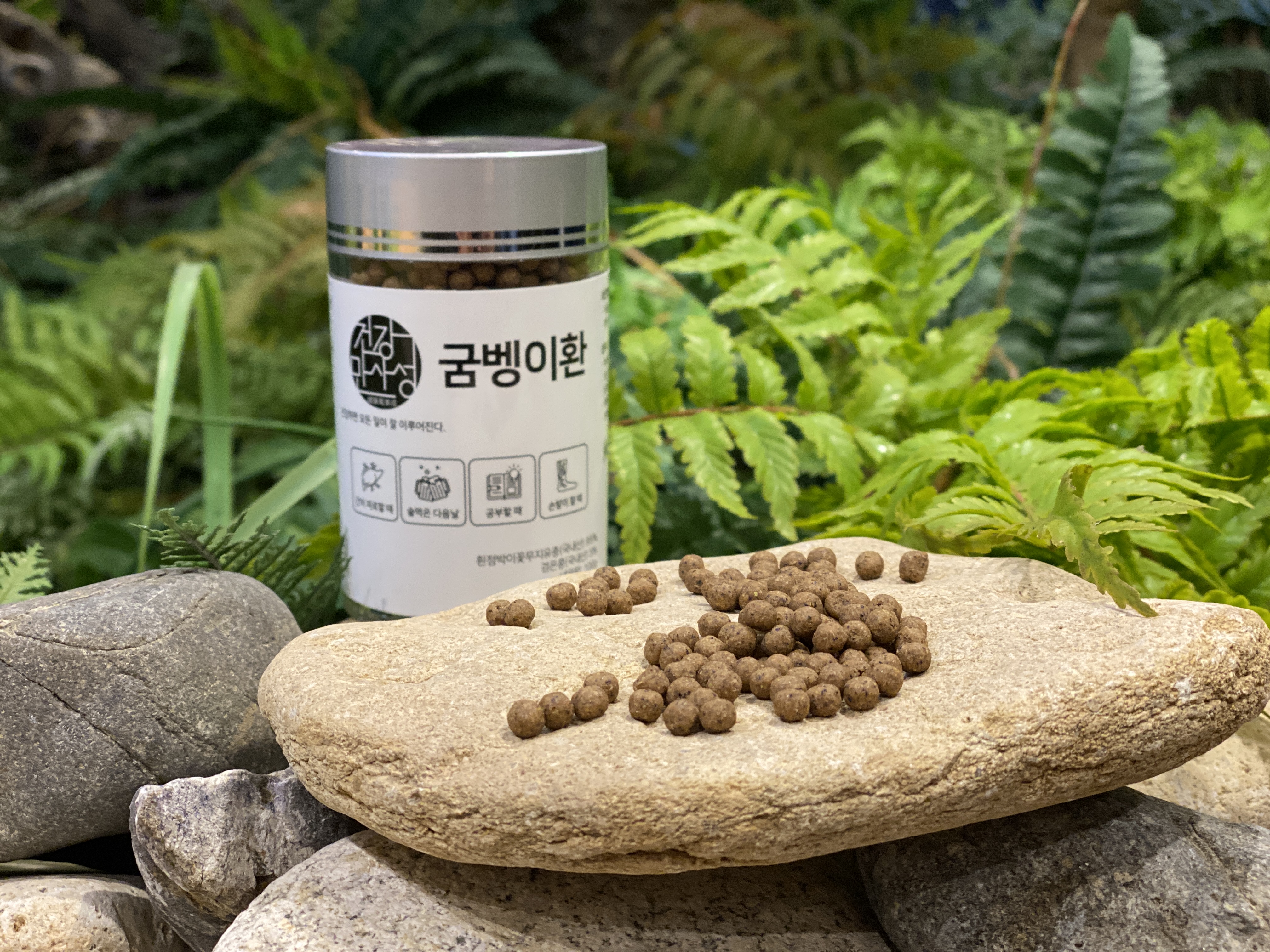 국내산 굼벵이환 100g
