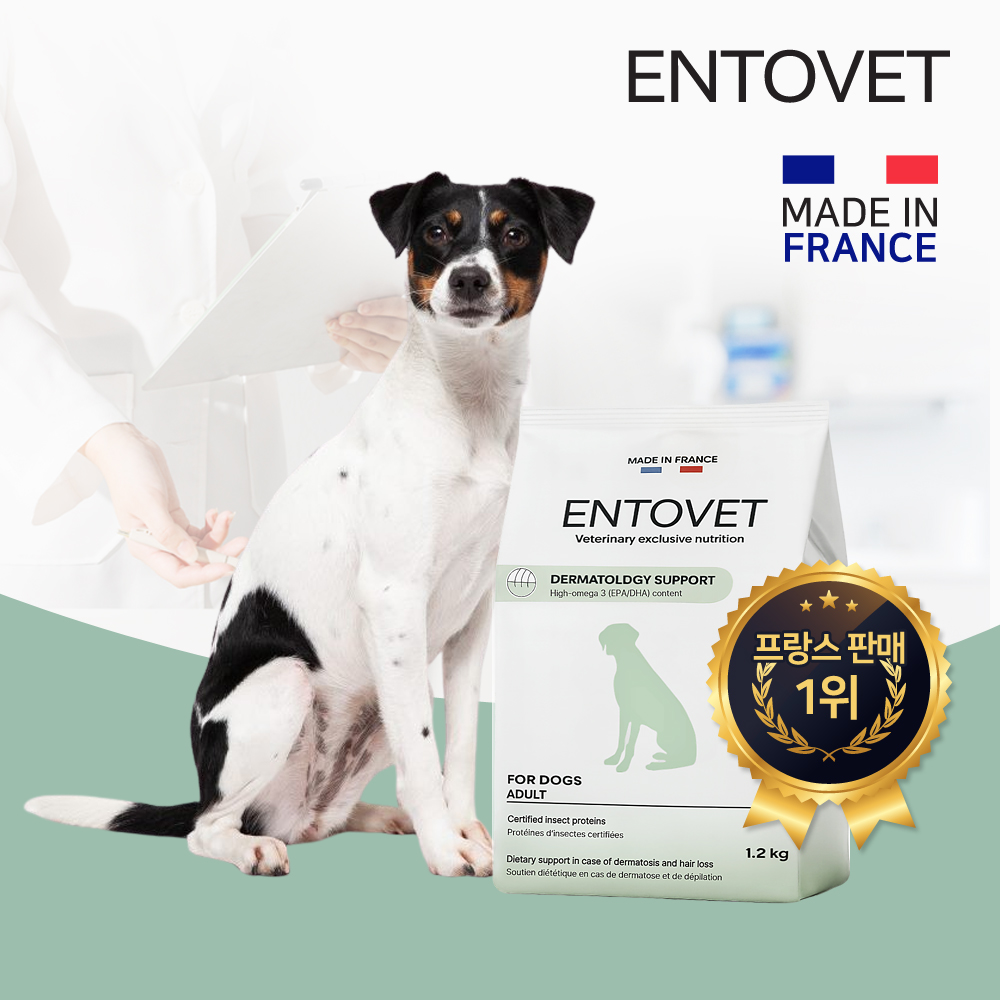 강아지 고단백질 사료 1.2kg