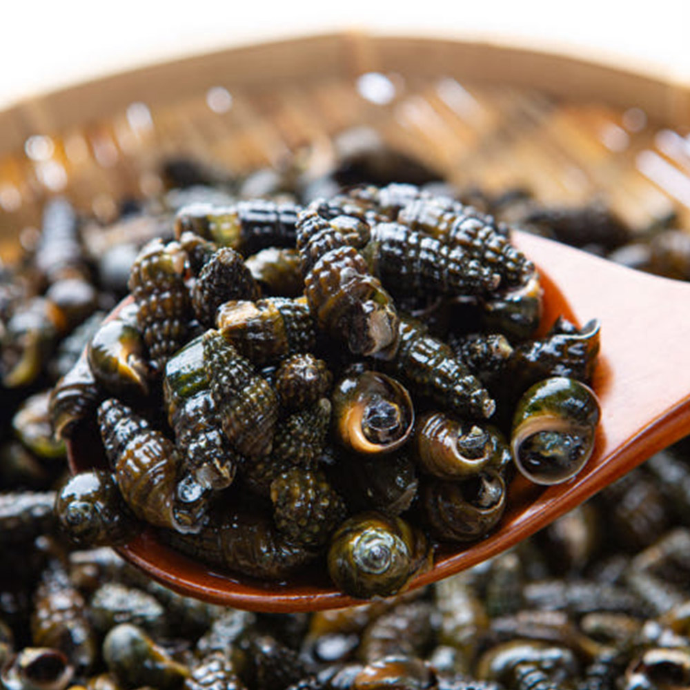 자연산 생다슬기 1kg