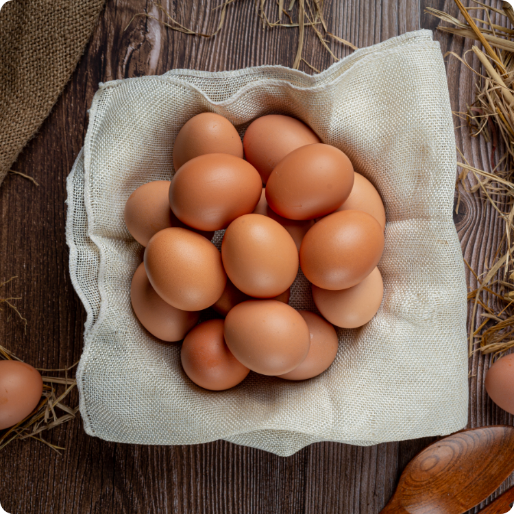 난각번호 1번 친환경 계란