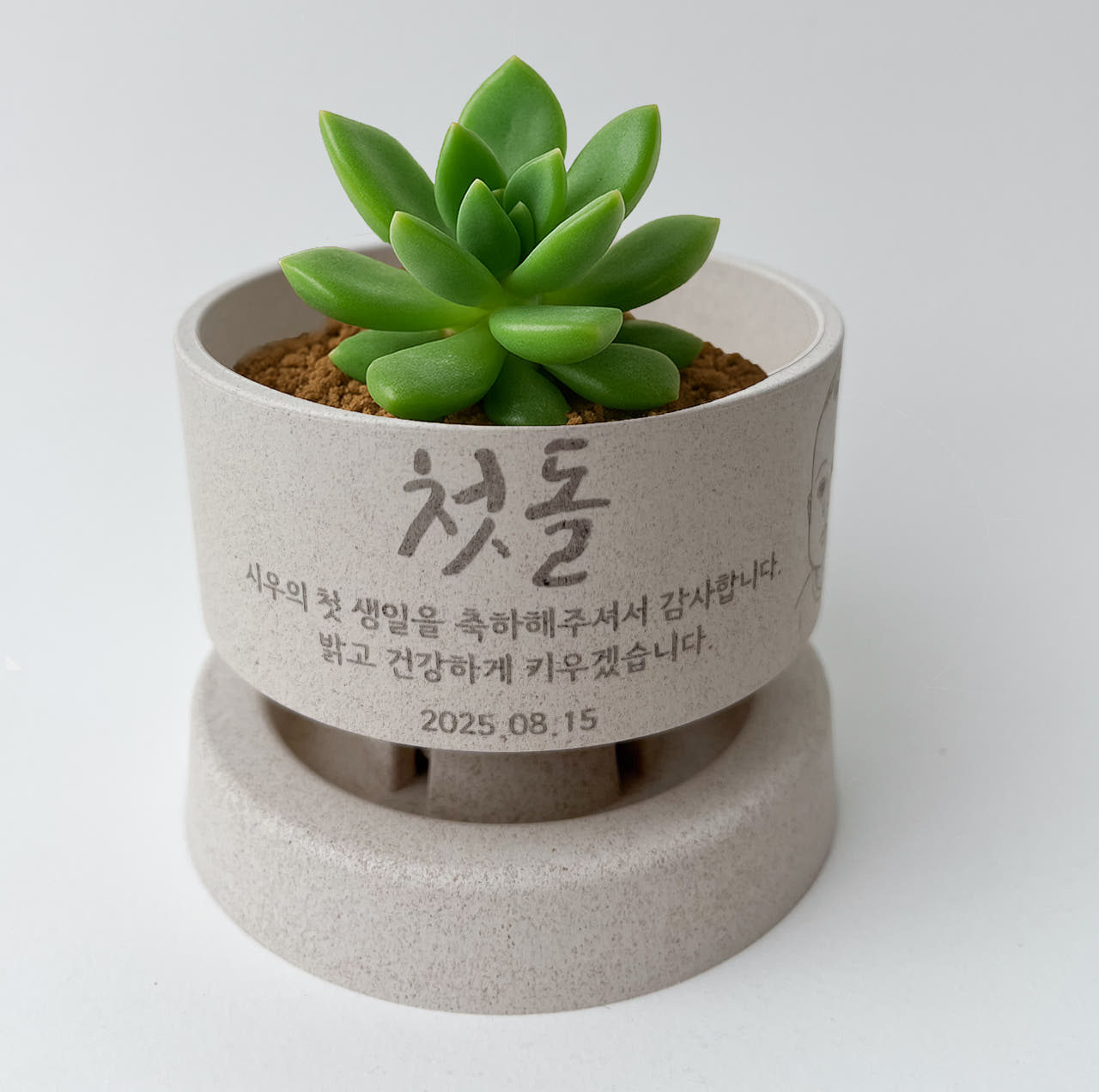 주문제작 친환경 화분