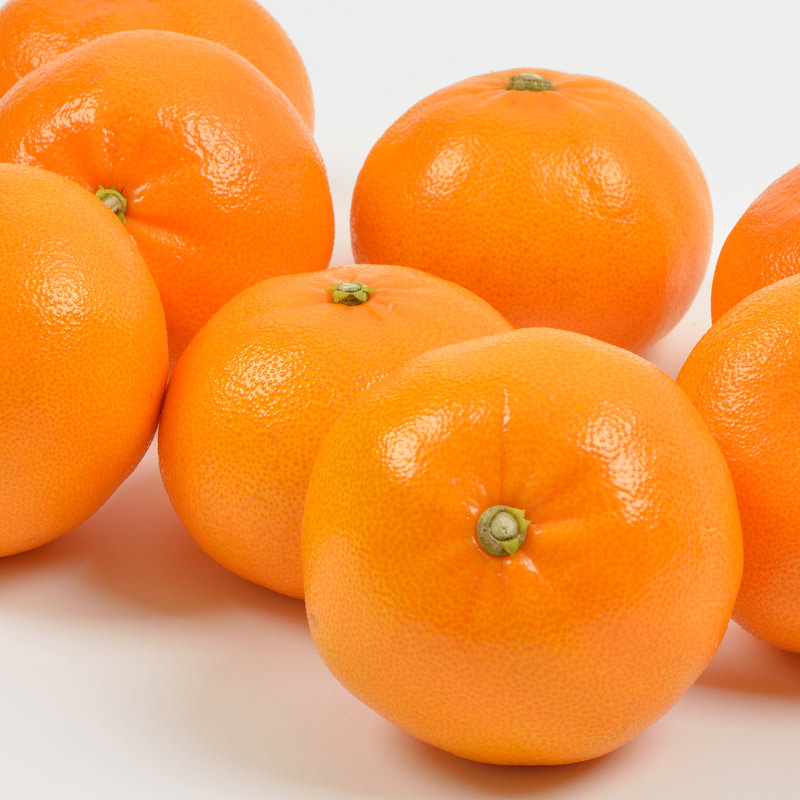 제주도 천혜향 3kg 선물세트