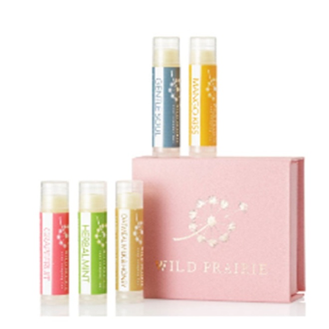 비건 보습 립밤