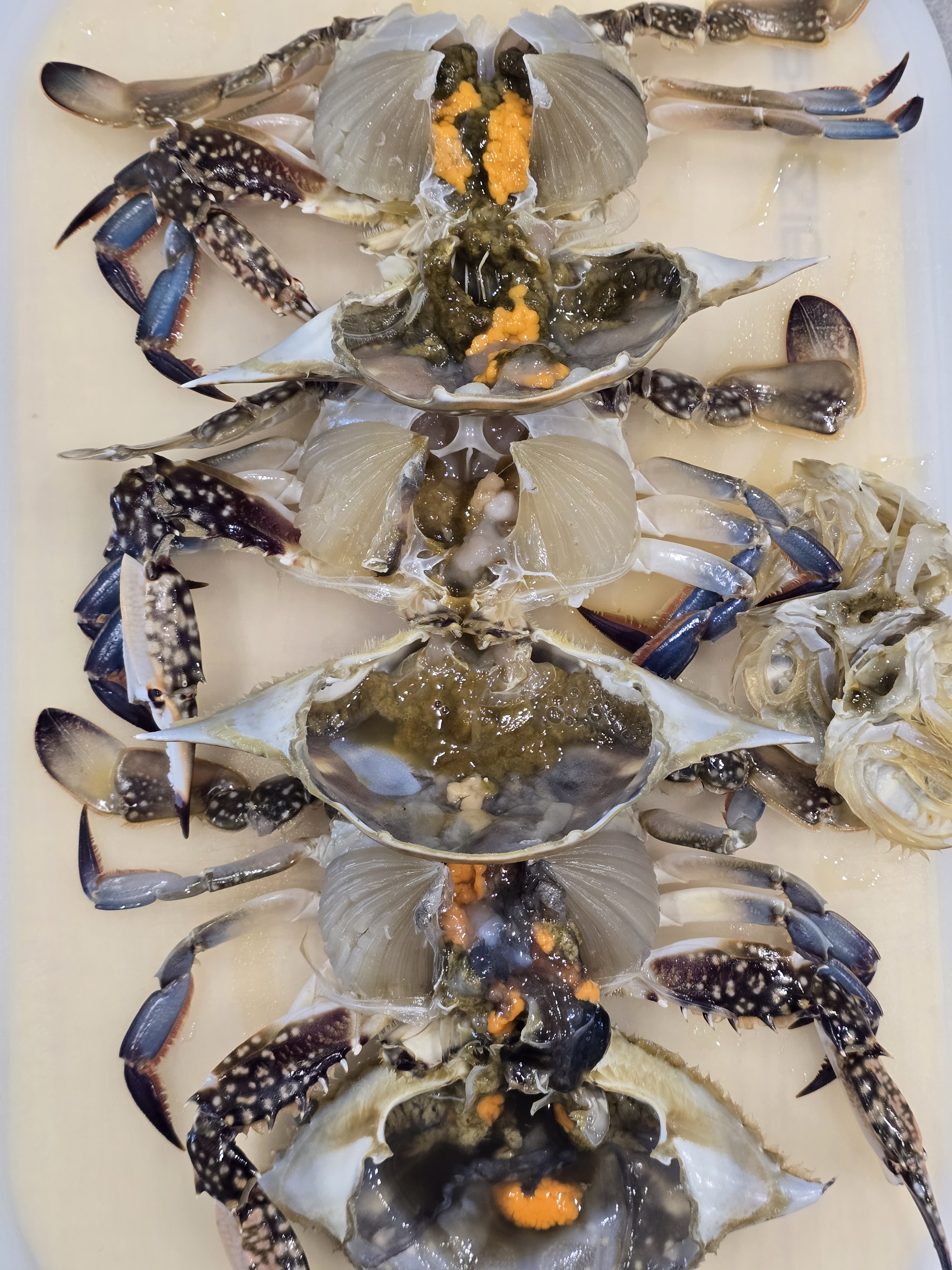 국산 연평도 냉동꽃게 1kg