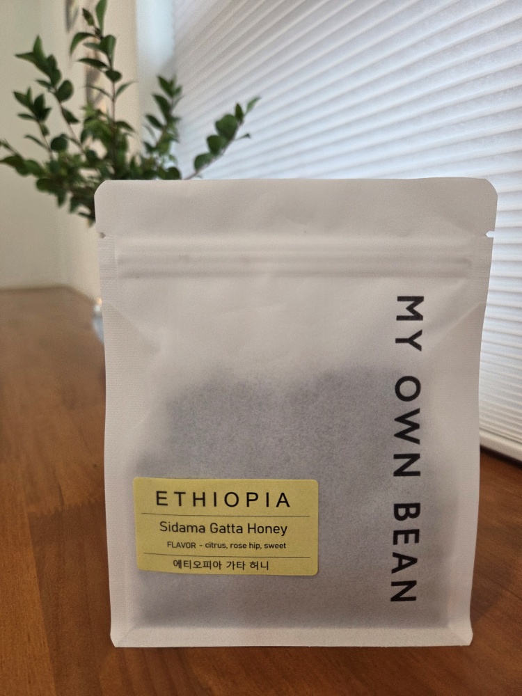 에티오피아 홀빈 원두