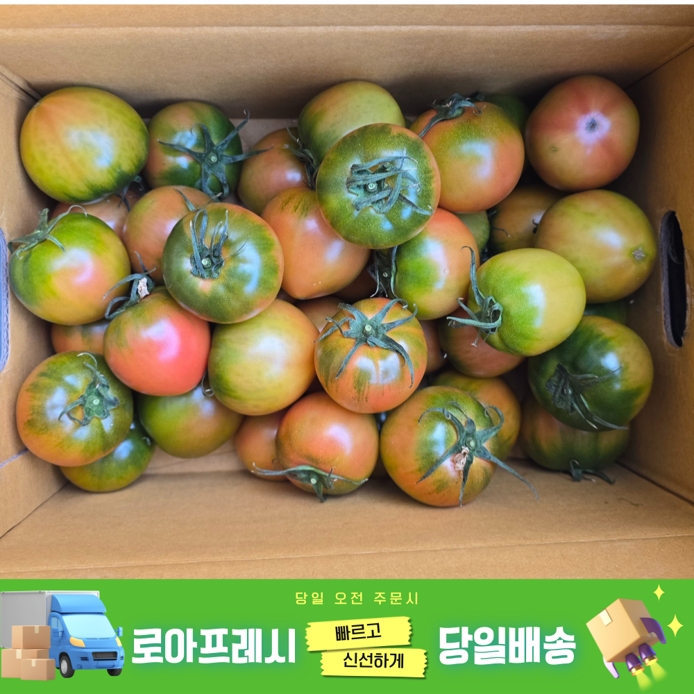 대저 토마토 500g