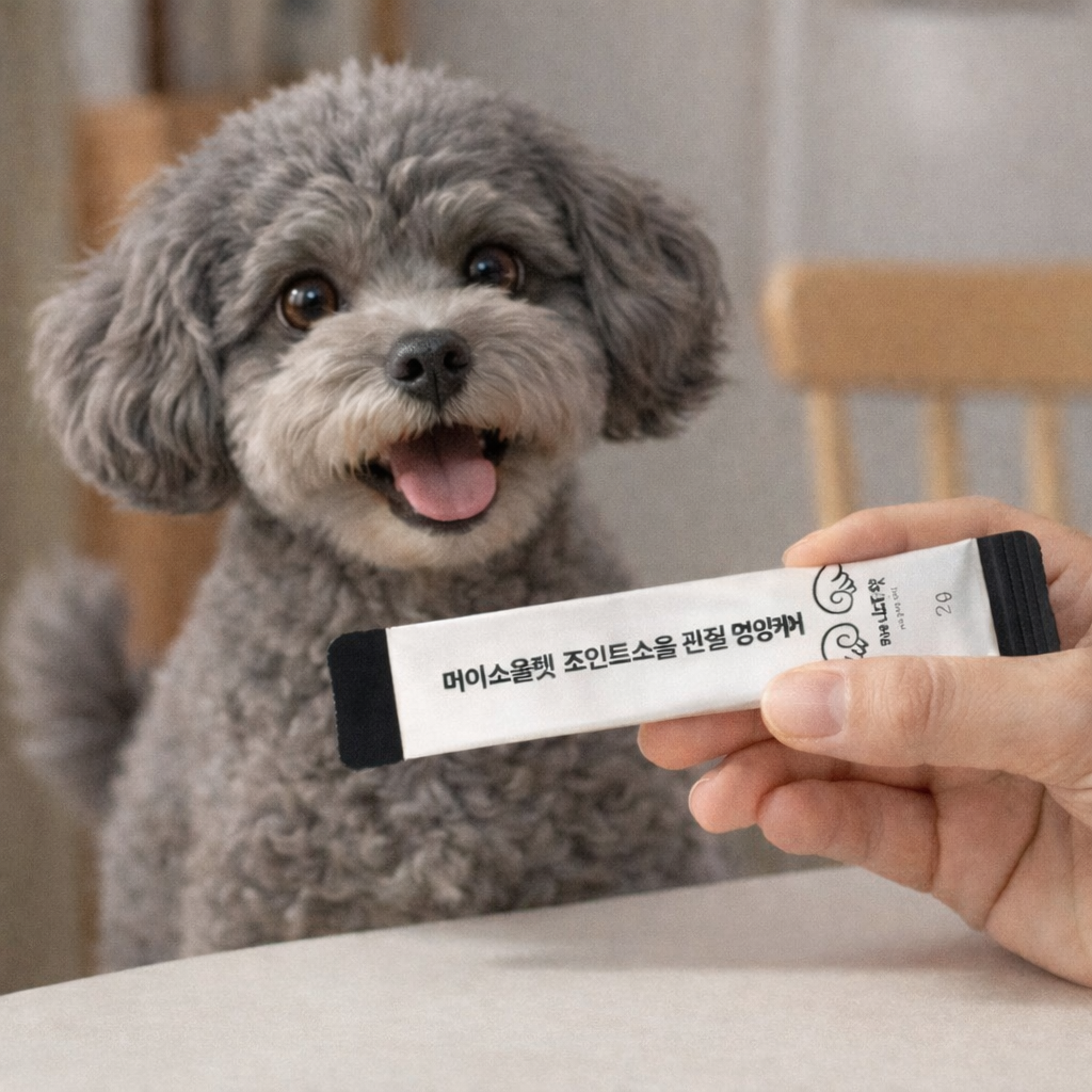 강아지 관절 영양제 1BOX