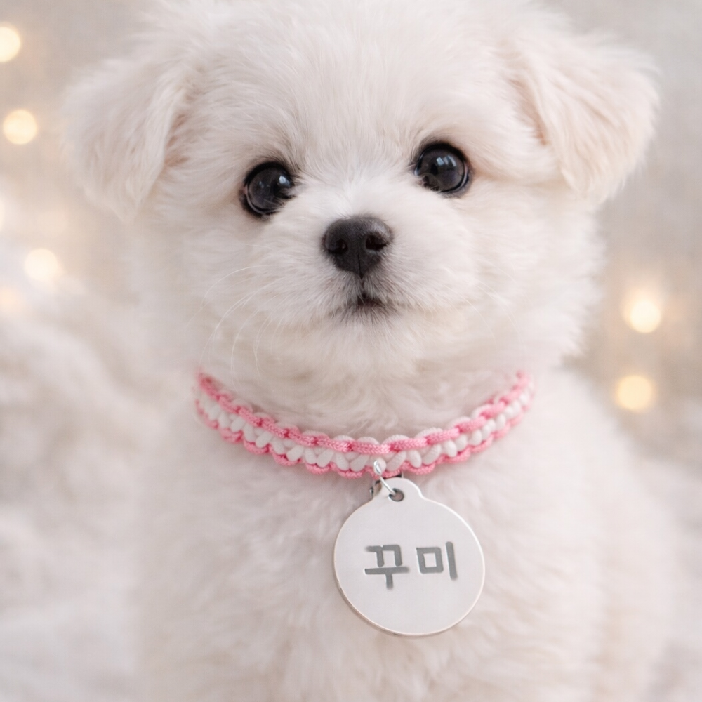 반려동물 목걸이 네임택 SET