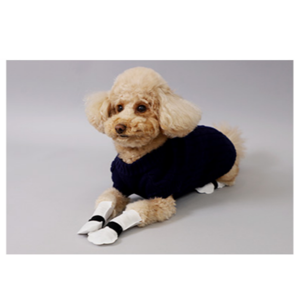 강아지 일회용 신발 1BOX