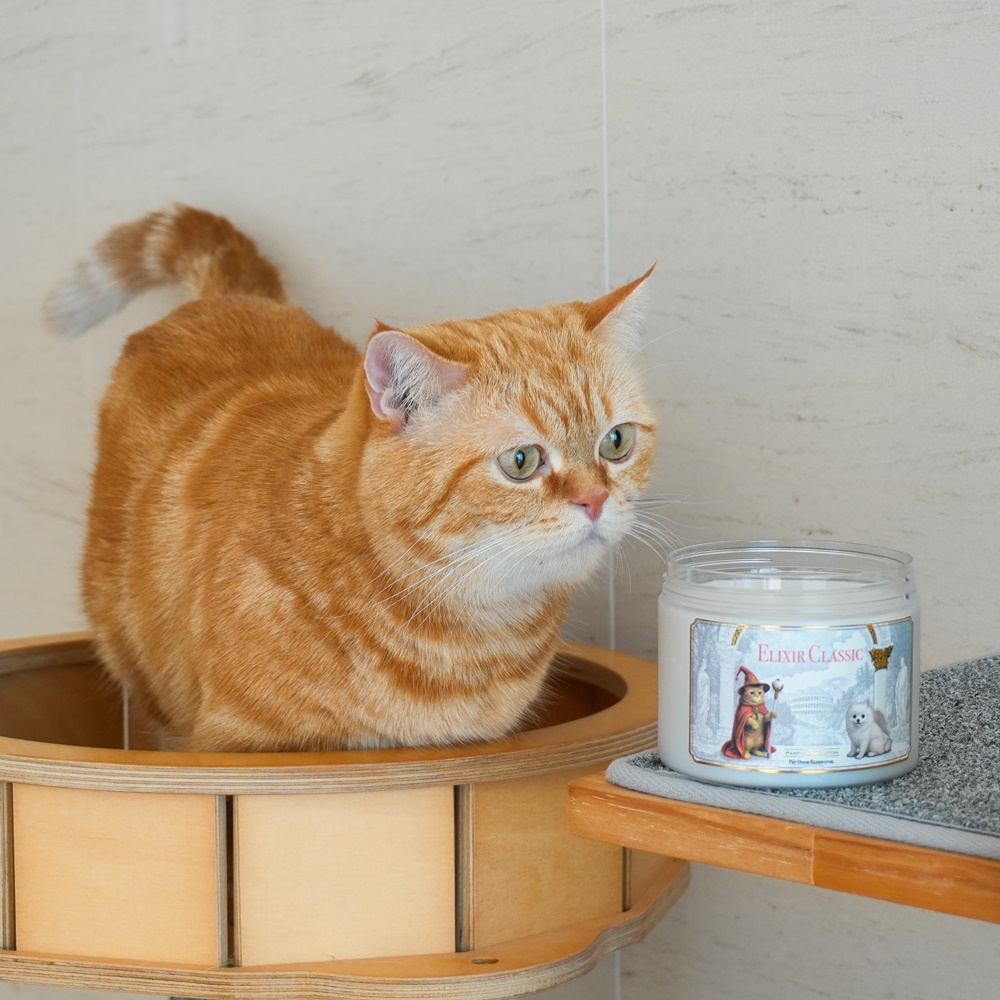 반려동물 탈취제