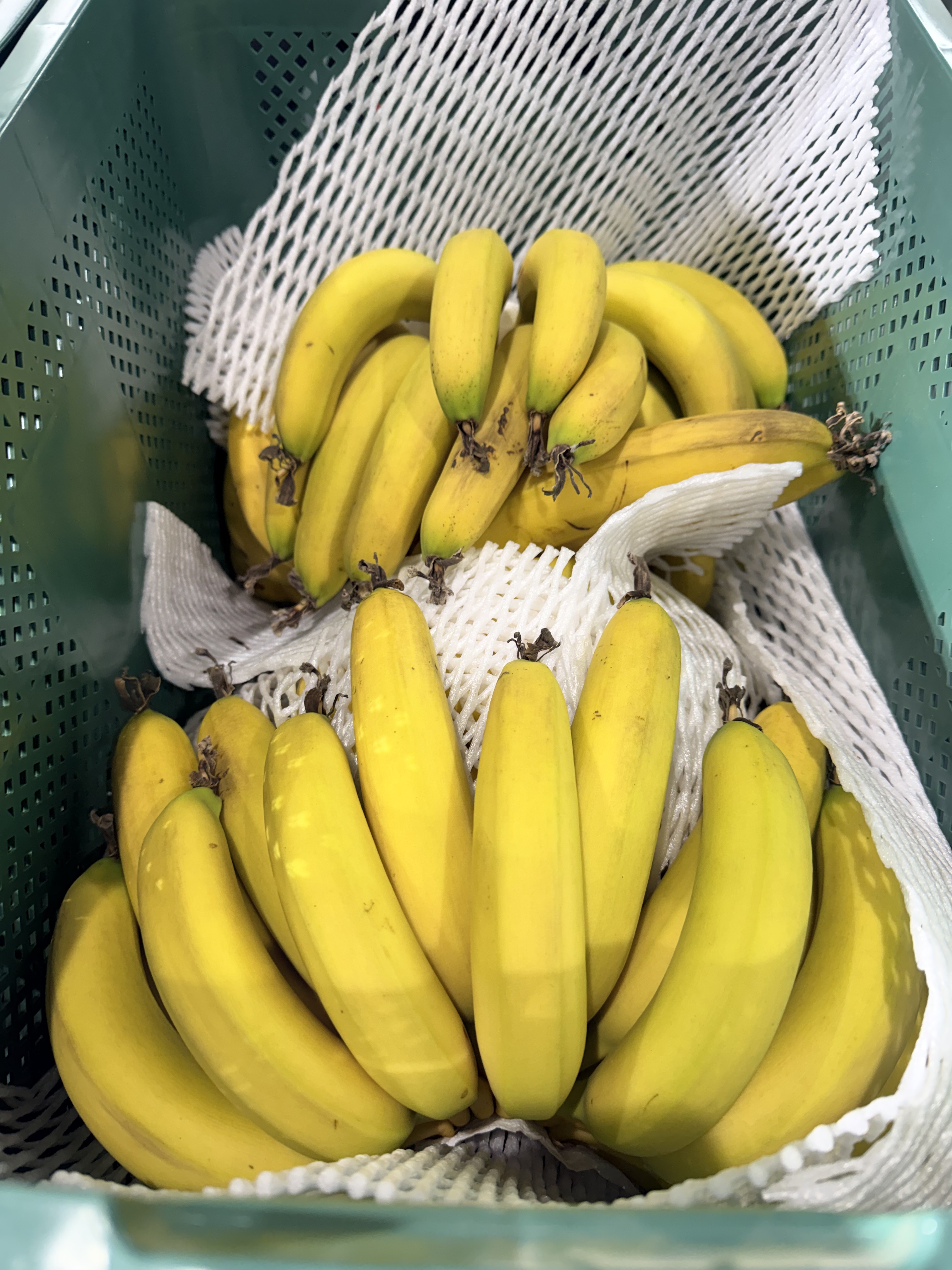 무농약 국내산 바나나 1.5kg