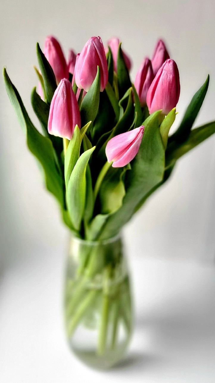 랜덤 튤립 꽃다발