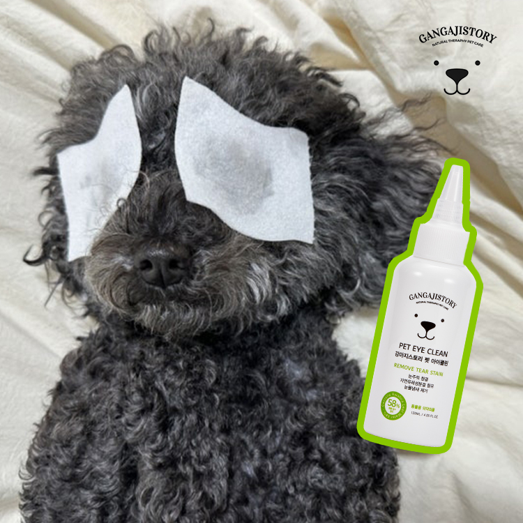 천연 저자극 반려동물 눈물지우개