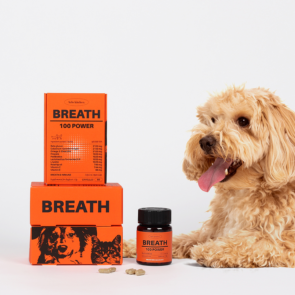 강아지 기관지 영양제 1BOX