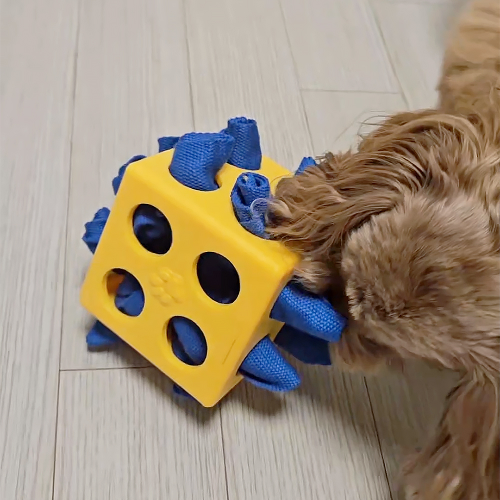 강아지 노즈워크 장난감