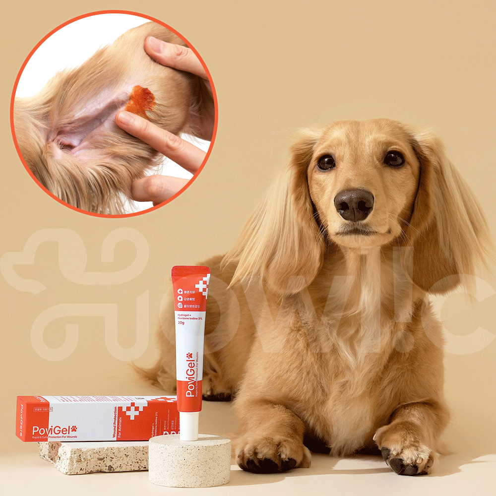 반려동물 피부연고 20g