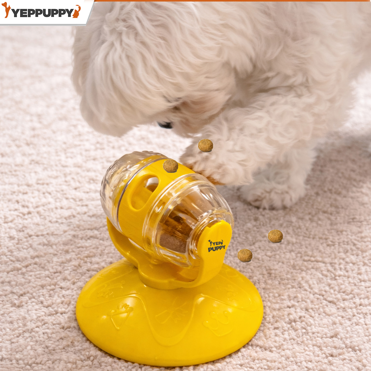 강아지 노즈워크 SET