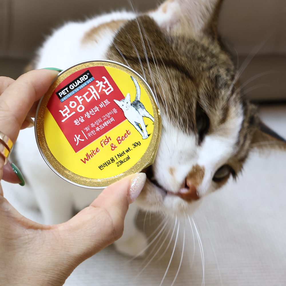 체질맞춤 고양이습식캔 SET