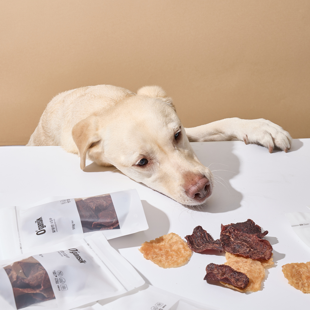 반려동물 닭고기칩 50g