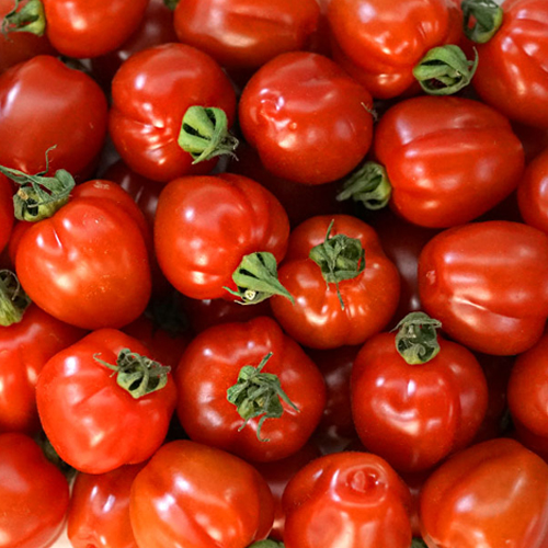 이너뷰티 대추방울토마토 1kg