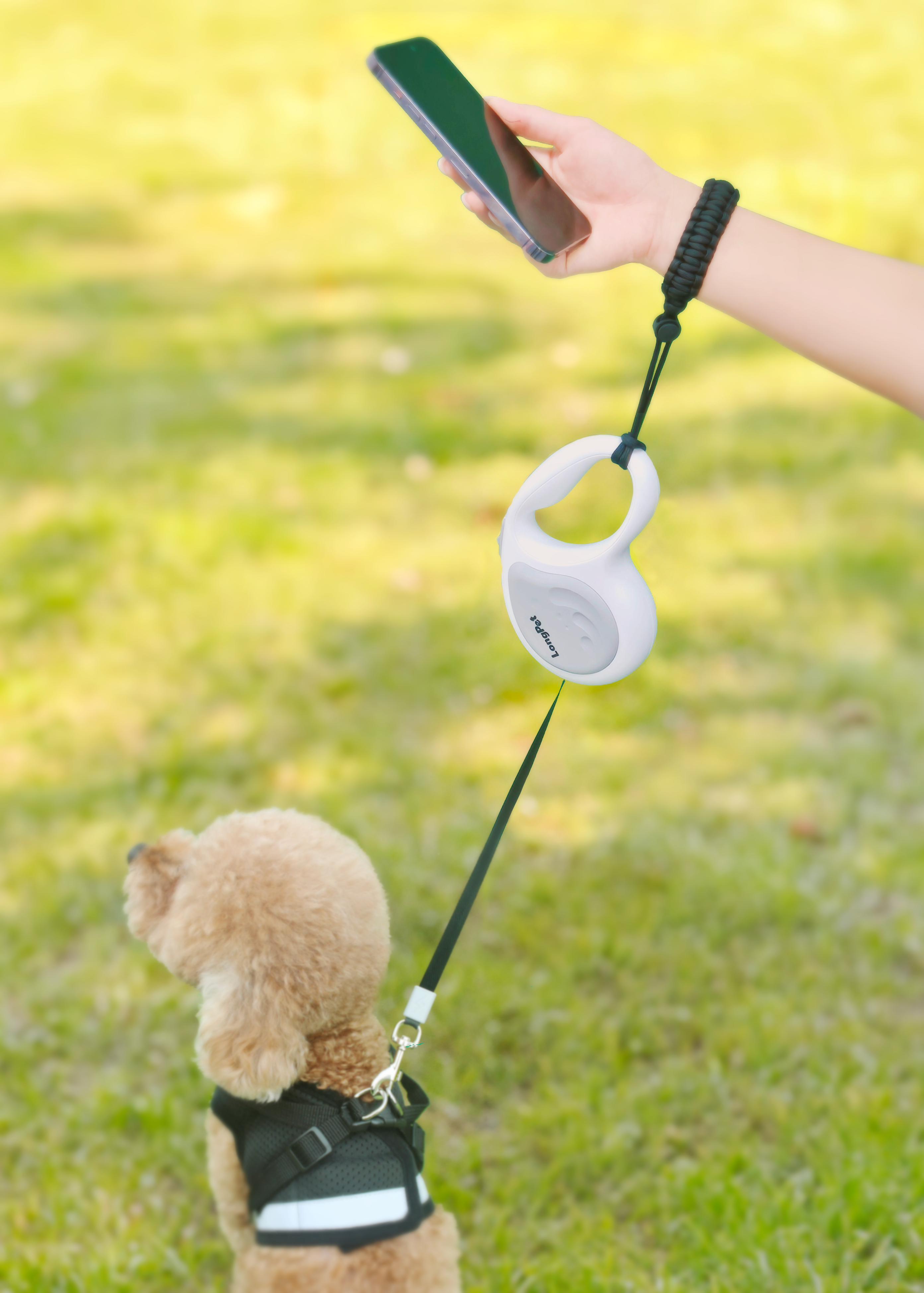 핸즈프리 강아지 자동 리드줄 SET