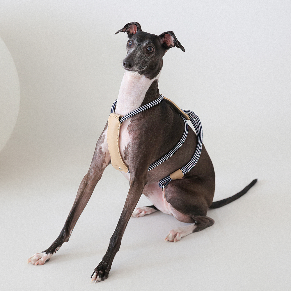 NFC H형 하네스 SET